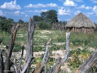 Villaggio boscimane © Survival