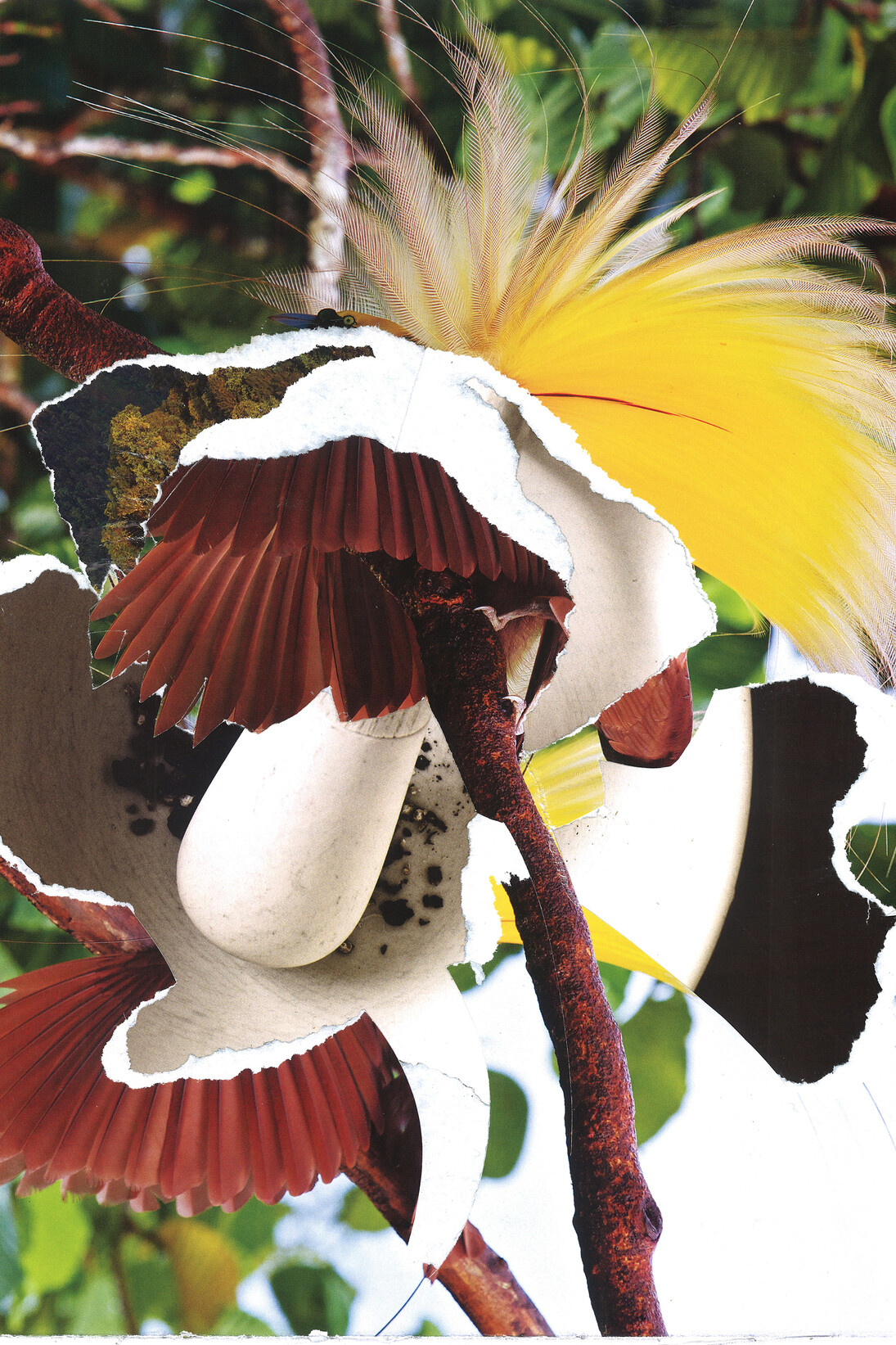 Christopher Doyle, Rapprochement, 2015, collage, 53.4 x 39.6 cm (21 x 15 ½ in)