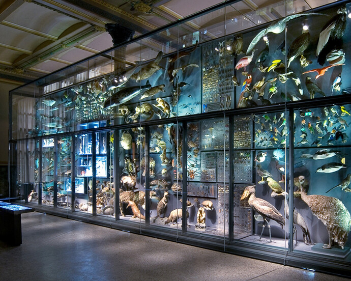 Evolution in Action. Courtesy of Museum für Naturkunde