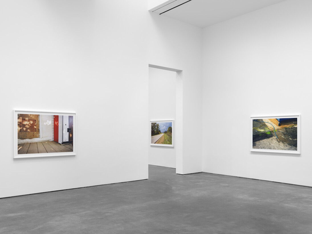 William Eggleston The Democratic Forest, Exhibition view. Courtesy of David Zwirner