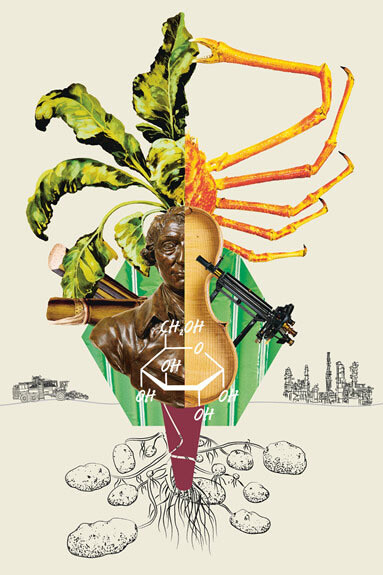 Collage zur Ausstellung "Alles Zucker!" © SDTB/Gestaltung: gewerkdesign, Berlin