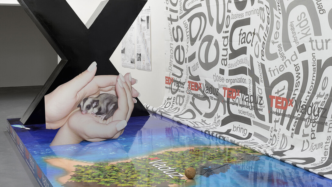 Daniel Keller, Installation view of “TEDxVaduz redux” (with Simon Denny) at T293, 2013, Courtesy T293, Rome