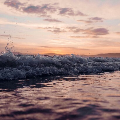Il fenomeno contribuisce anche alla diminuzione dell’ossigeno negli oceani, danneggiando la fauna marina
