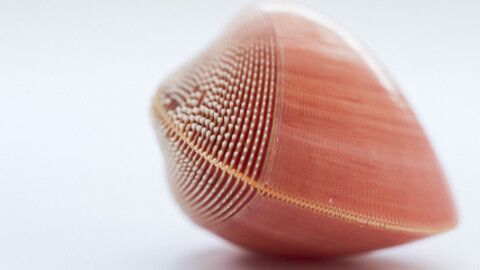 !Hola Caracola! Courtesy of Casa de la Ciencia