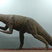 Salas de Paleontología. Courtesy of Museo de La Plata