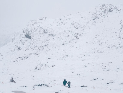 Como simples insectos