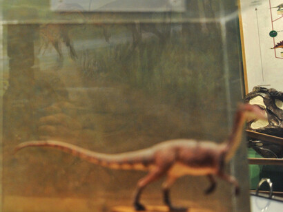 Dinosaurs: Modeling the Mesozoic. Courtesy of Museum of Science 