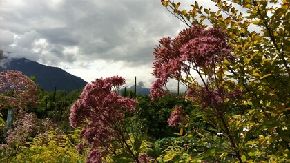 Bellezza naturale