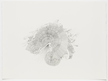 Sandra Cinto, Untitled (After Encounter of Water), 2012, ink on paper, 24 3/8 x 30 7/8 in. Courtesy of the artist and Tanya Bonakdar Gallery, New York.