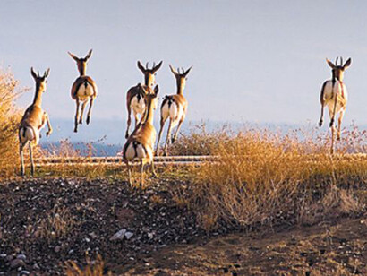 Gazelle Valley, Photo by Doron Nissim