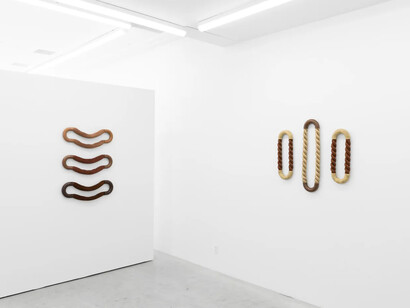 Eliza Bentz, Over and over, again and again, exhibition view. Courtesy of Arden + White Gallery