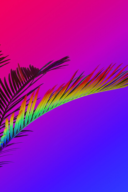 Signe Pierce. Courtesy of Annka Kultys Gallery