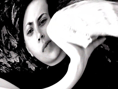 Orbits. Courtesy of Berlin Blue 