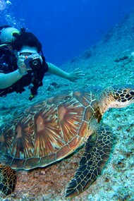 Scuba diving in Padangbai, Bali, among colorful coral reefs