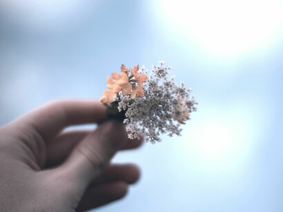 Por un modelo sostenible