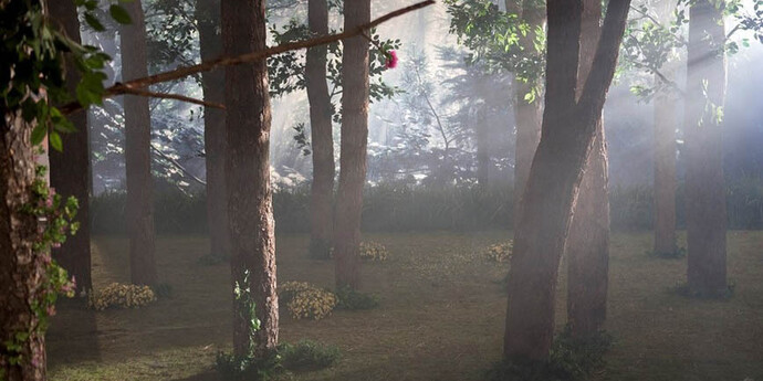 Yeondoo Jung. Courtesy of Norton Museum of Art 