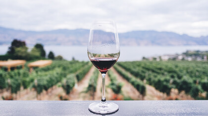 Ottobre è il mese delle sagre in Italia e si possono degustare ottime prelibatezze locali insieme a un calice di vino