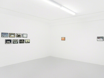 Hundreds of Nature. Courtesy of GRIMM