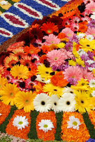 L'Infiorata di Spello