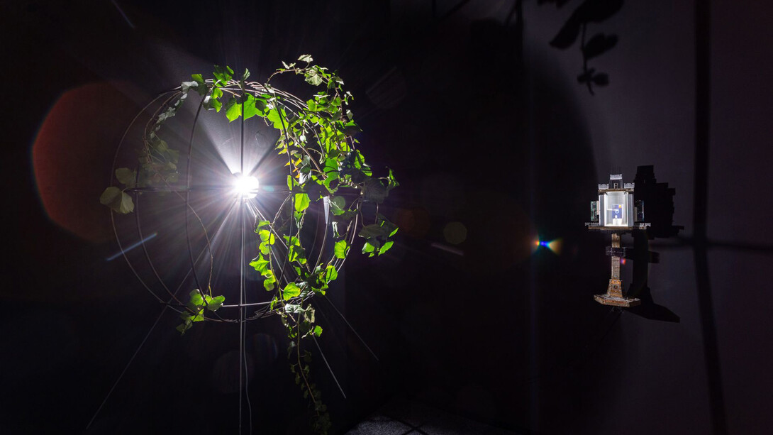 Péter Tamás Halász, planƎt, exhibition view. Courtesy of acb Gallery