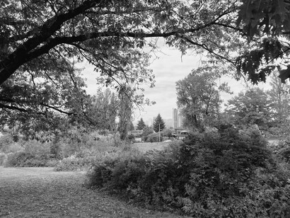 Here, the colors linger, a subtle, gradual change for those of us learning to slow down time © Photo by John Macanas