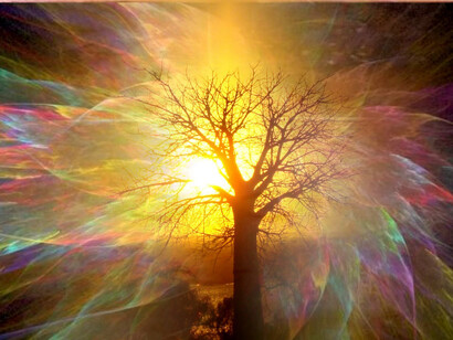 Nature's force