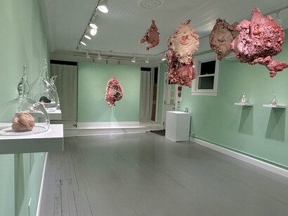 Lauren Ruiz, Fresh relics, exhibition view. Courtesy of Marquee Projects 