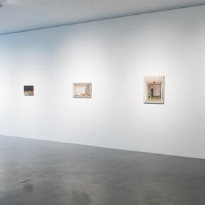 Fields of Emotional Habits, Albrecht Schäfer,Foto Nathan Ishar, courtesy PRISKA PASQUER, Cologne 
