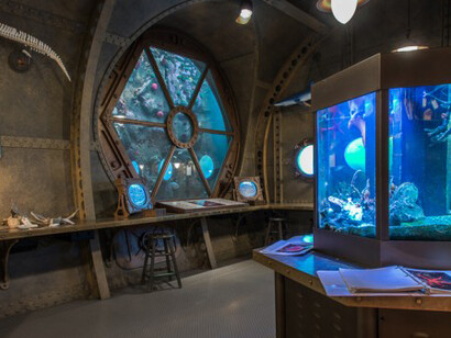 Natural History Gallery. Courtesy of Royal BC Museum