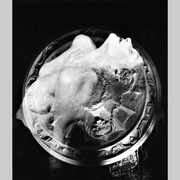 Sanges, Still life, 2023. Courtesy of Haus der Photographie