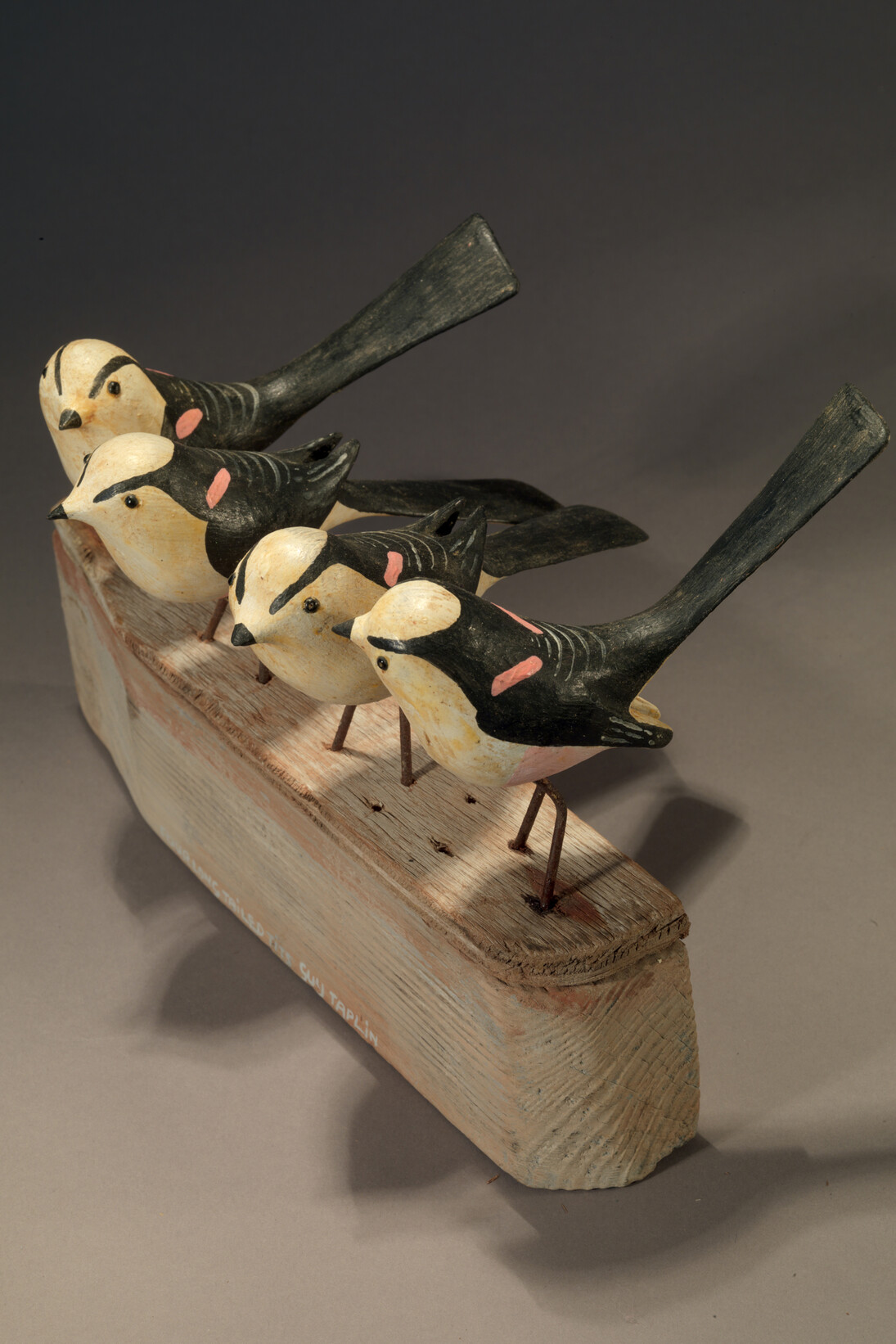 Guy Taplin, Long-tailed Tits