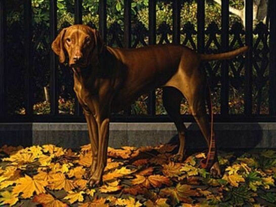 Stone Roberts, Lulu, near Harmony on Main: Stonington 2007, 2007-08, Oil on linen, 36 x 41 in.