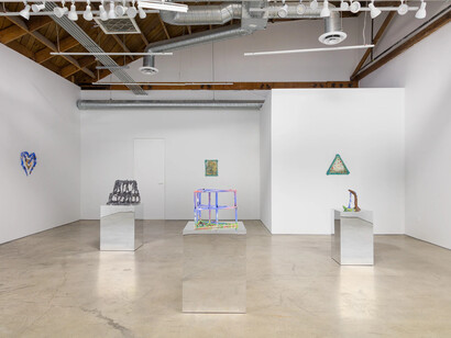 Alex Anderson, Shape of life, exhibition view. Courtesy of Make Room Gallery