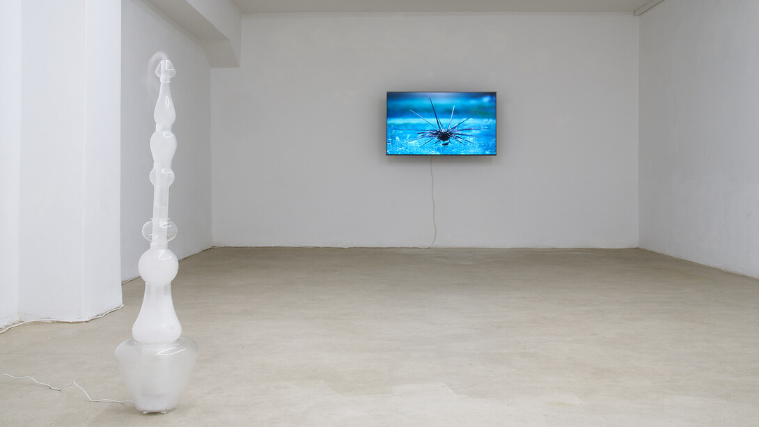 Pelle d’oca, installation view. Courtesy of The Address
