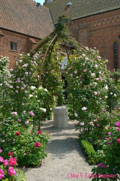 Plent of flowers. Skania