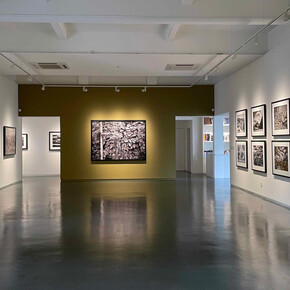 Sebastião Salgado, exhibition view. Courtesy of Sundaram Tagore Gallery