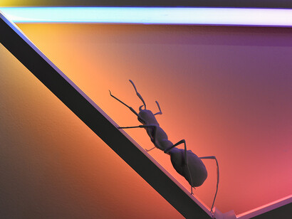 James Clar, Folded Space, 2016 LED lights, filters, snowglobe, 3D printed parts 120 x 85cm detail