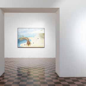 Rayana Rayo, Yo soy semilla, exhibition view. Courtesy of Travesía Cuatro 