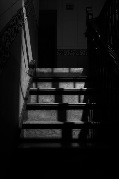 Bajó las escaleras mientras la madera de los escalones lo saludaba, dio vuelta la esquina para ir a la cocina