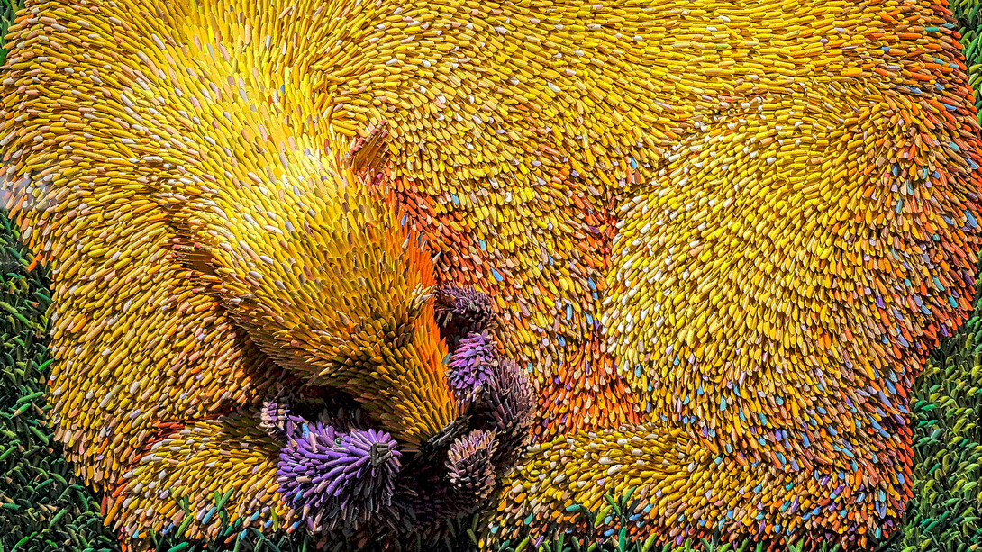 Arte da riciclo, orsa gioca con il suo piccolo, © Federico Uribe. Gli orsi, con il loro lato tenero e buono, fatti con le punte rimaste delle matite colorate, in un arcobaleno variopinto ed allegro