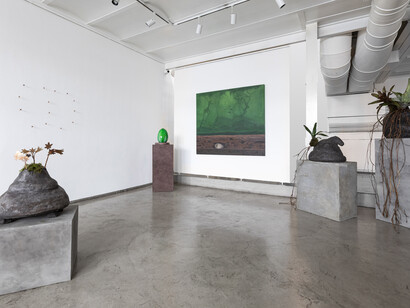 Romina Orazi, Visiones ancestrales sobre el futuro, vista de exhibición. Cortesía de Praxis