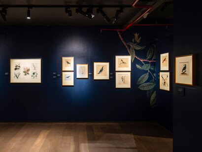 A treasury of life. Indian company paintings c. 1790-1835, exhibition view. Courtesy of DAG