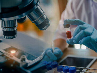 Cientistas estudam células-tronco


