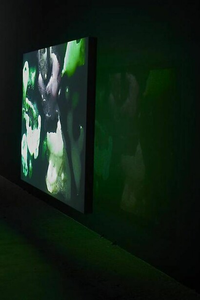 Matt Saunders, Reverdy /King Hu, 2014 (Detail), installation in five parts, four animation films, color and black and white, silent, loop ( 12, 9, 6 and 6,32 mn ) projected on 4 screens ( 120 x 160 cm and 180 x 320 cm), Silver gelatin print on fiber-based paper print : 126 x 172 cm /frame : 133 x 179,5 cm