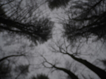 Photo image from Yuchen Wang’s photography series, 2023. Courtesy of :iidrr Gallery