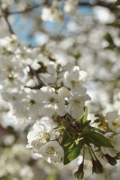 Incluso en los momentos más oscuros, supo sostenerse en la fe y el amor por los suyos, afirmando su voluntad de continuar adelante