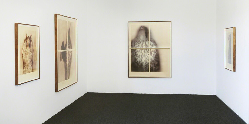 Ann Hamilton, Exhibition view. Courtesy of Gemini G.E.L.