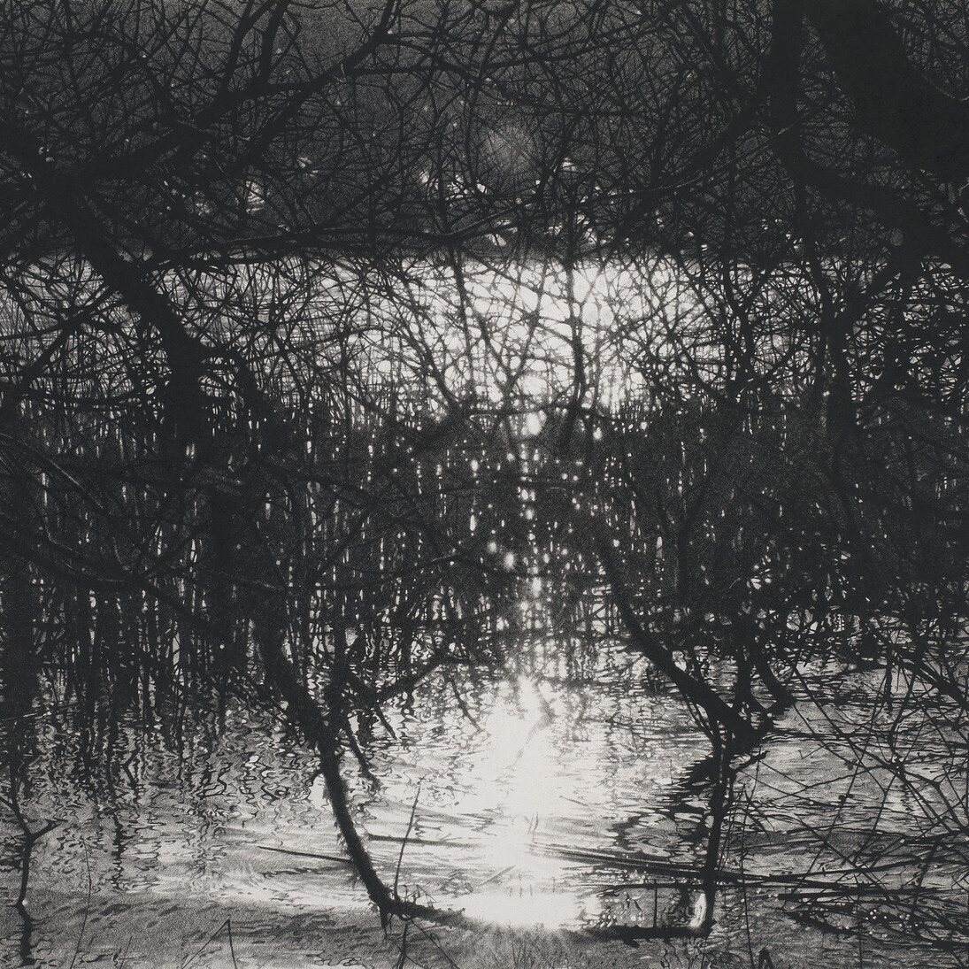 Sarah Gillespie, A Love as Old as Water, 2014, Brown and Black Charcoal on 356gsm Saunders Waterford Paper, 26 x 40 inches (66 x 101.5 cm)
