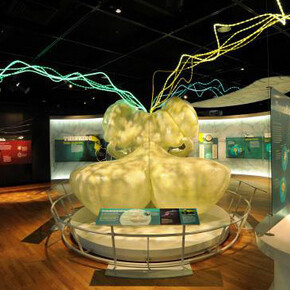 Brain: The Inside Story. Courtesy of Canadian Museum of Nature