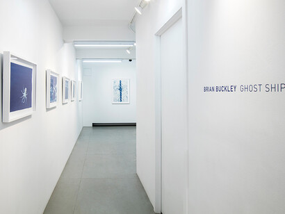 Brian Buckley, Exhibition view. Courtesy of ClampArt